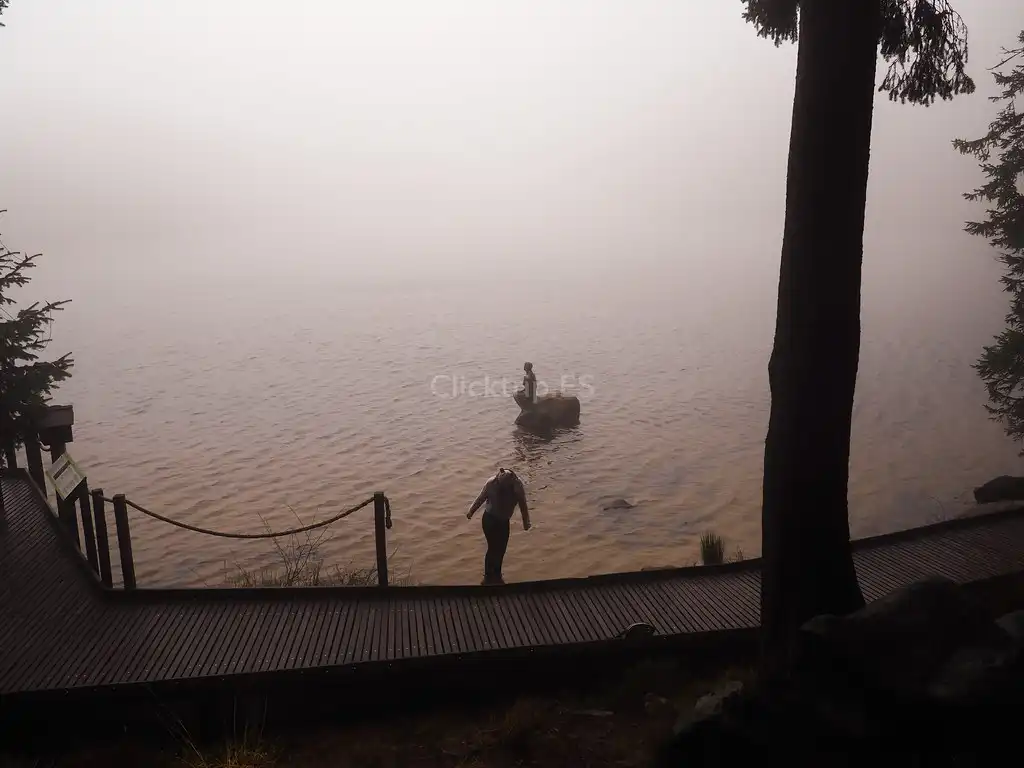 Lago Mummelse_Pueblos más bonitos de la Selva Negra en Navidad_ClickTrip