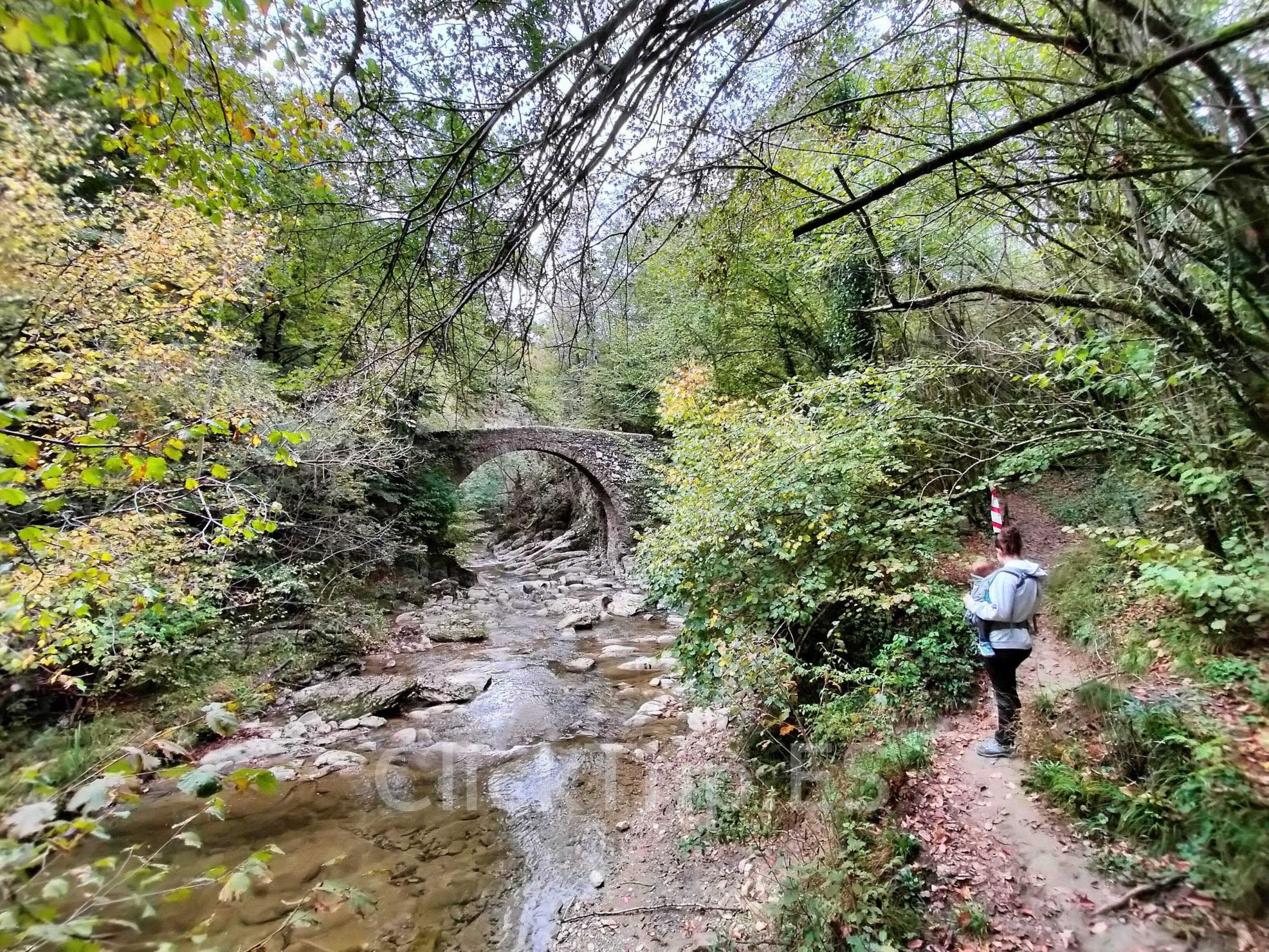 Puente románico de Salgueda | Ruta para llegar al Salt del Molí de Vidrà