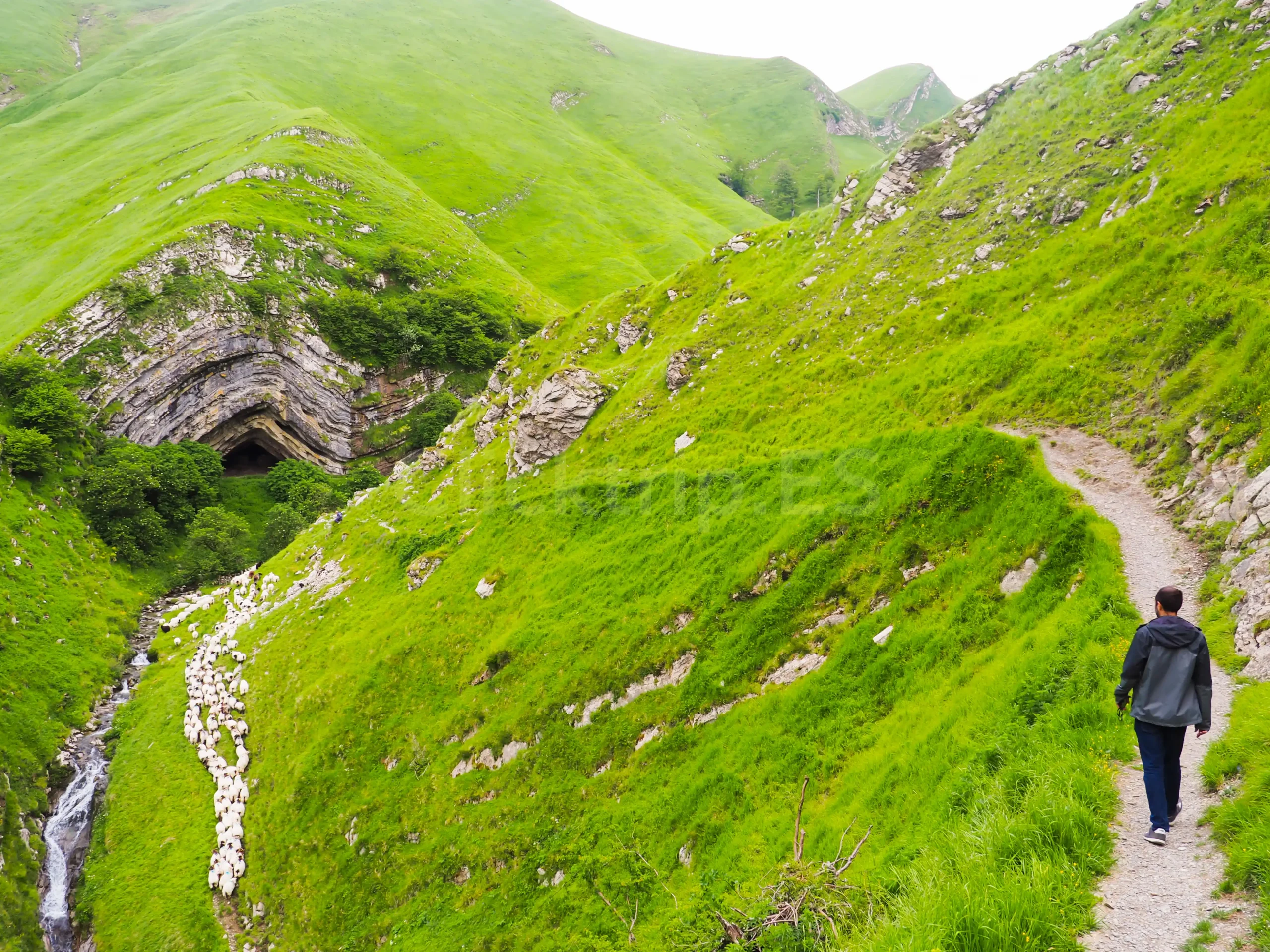 Como llegar a la Ruta Cueva de Arpea en Navarra_ClickTrip