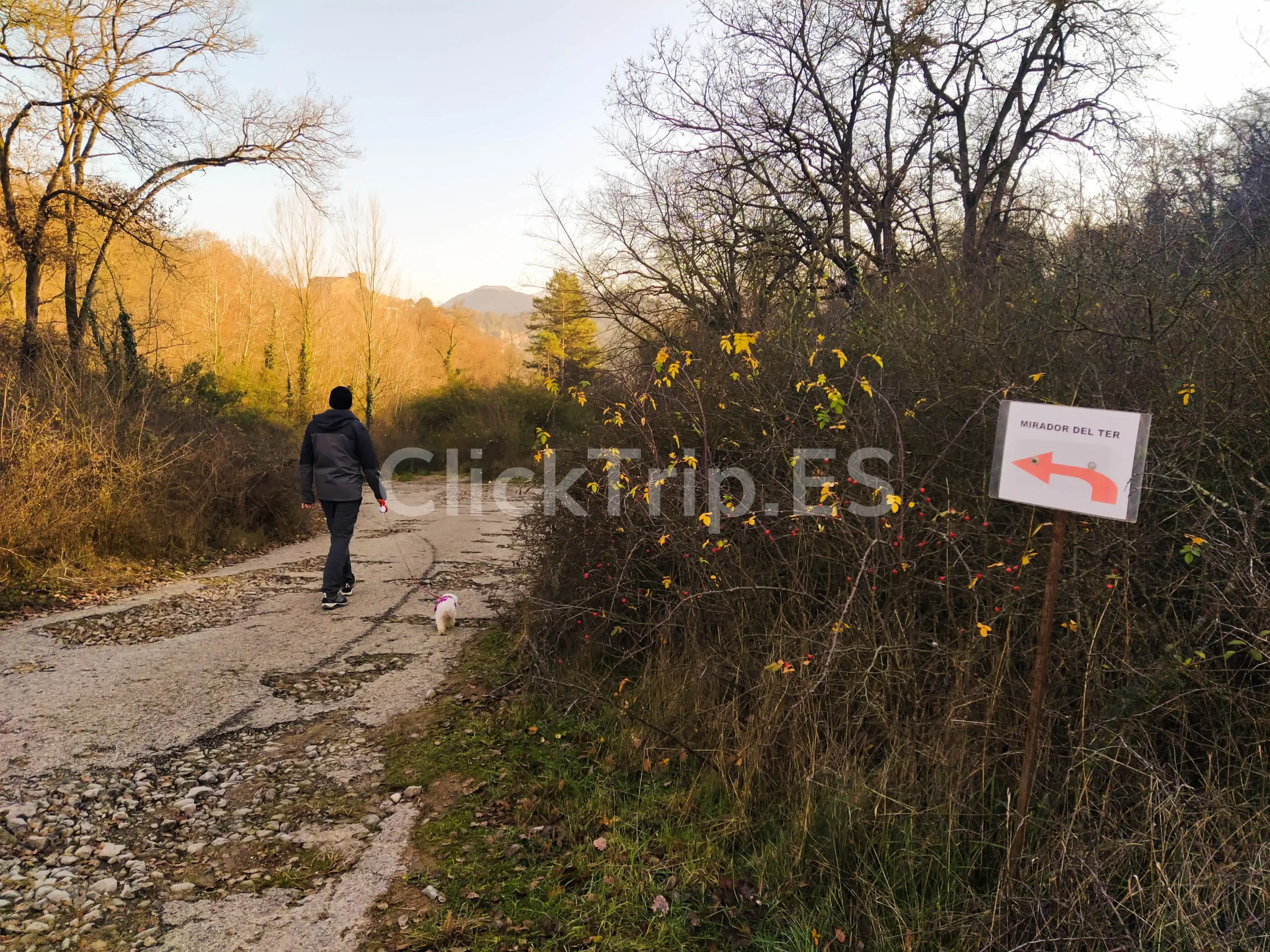 Camino para llegar al mirador del Ter ClickTrip Ruta Como llegar Sant Pere de Casserres Mirador del Ter Senderismo Maps ClickTrip (3)