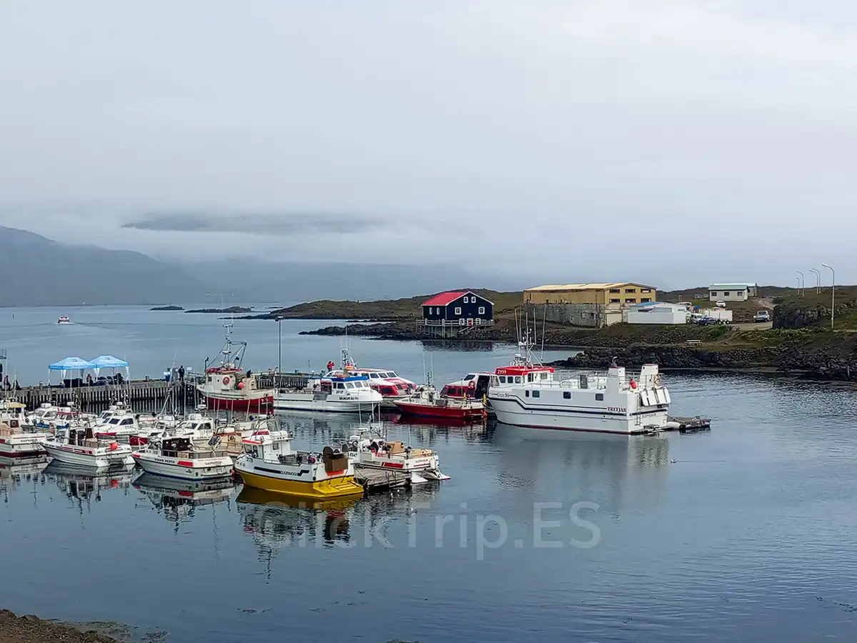 Qué ver en Islandia en 10 días con niños: ruta en coche completa_Djúpivogur_ClickTrip